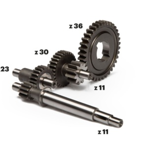 INGRANAGGI HTQ MALOSSI LUNGHI (9:1)